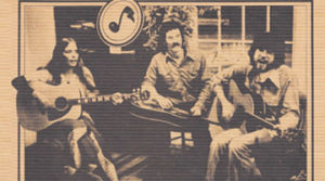 Chicory 1977